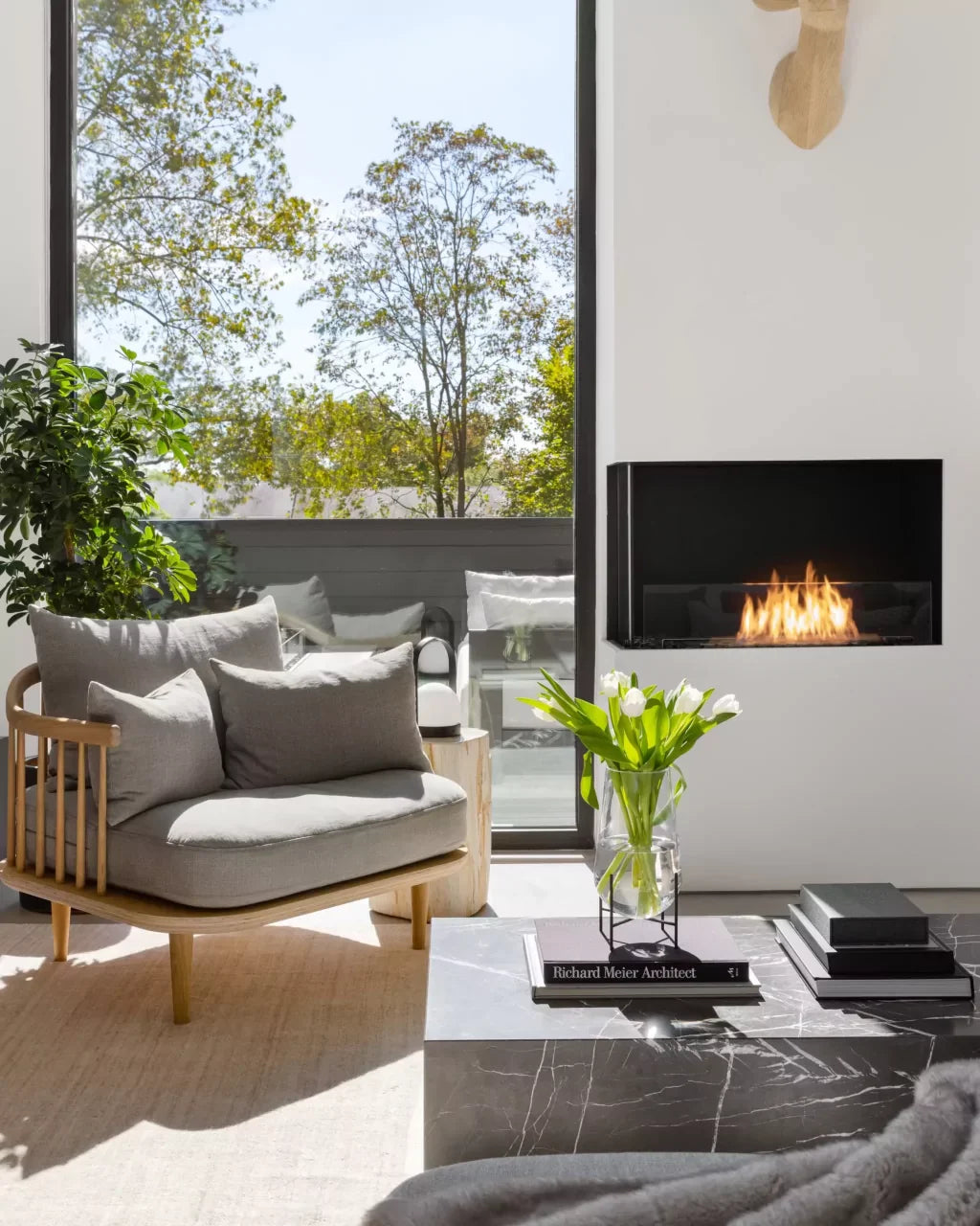 Bioethanol Fireplaces